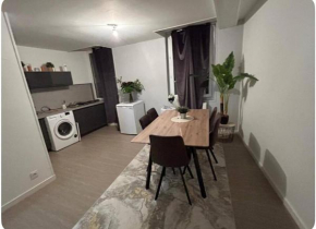 Appartement centre ville